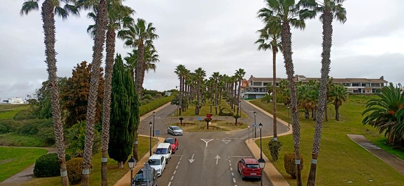 La avenida de palmeras que ordena el complejo.
